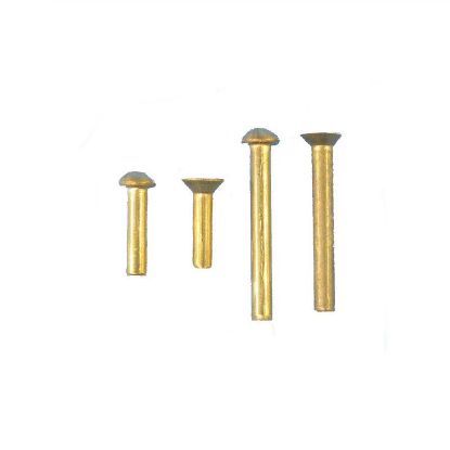 Picture of Brass Rivets