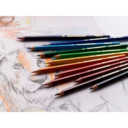 Picture of Coloured Pencils