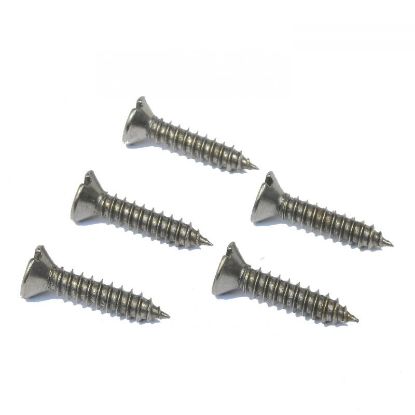 Picture of Self Tapping Screws